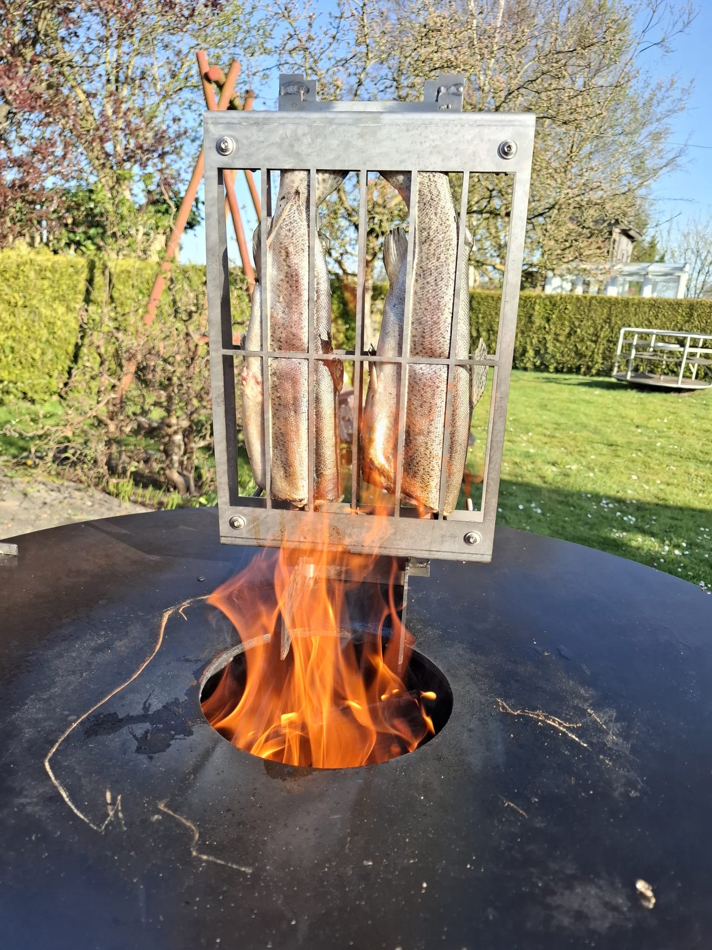 Asado Grillgitter Starter