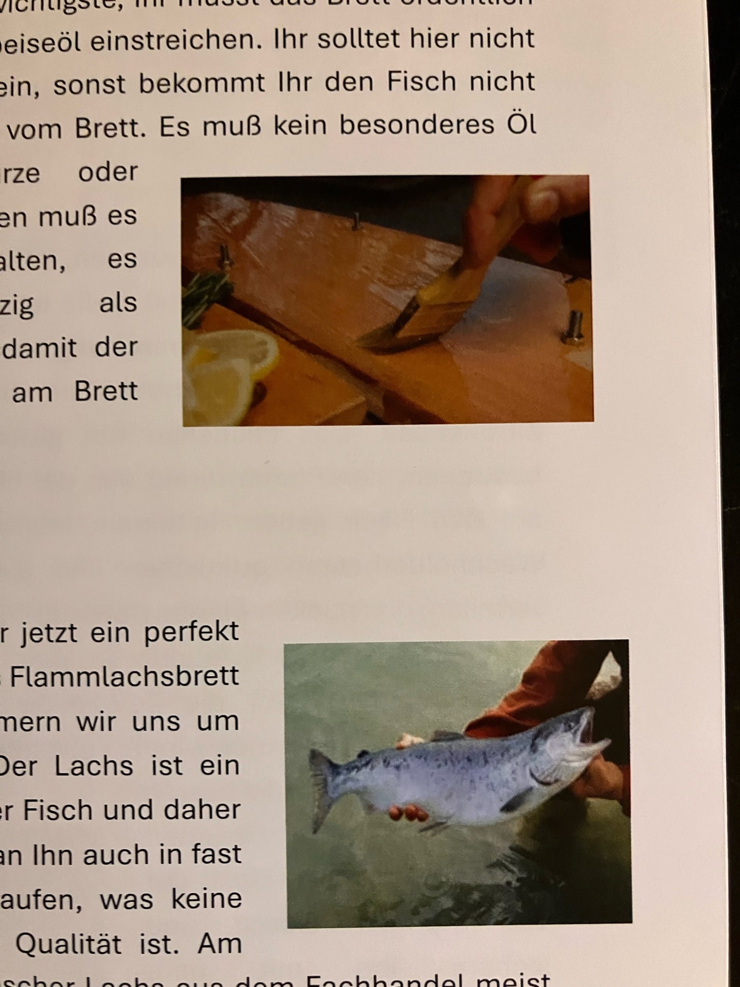 Flammlachs - Asado die Anleitung