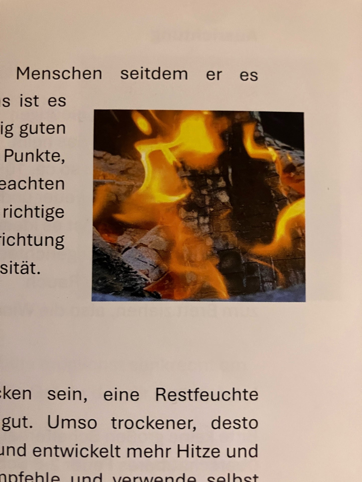 Flammlachs - Asado die Anleitung